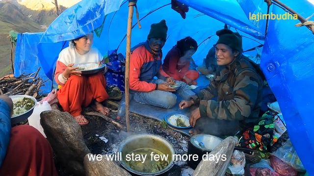 yarsagumba hunters || episode-36 || cordyceps || caterpillar fungus || Nepal || lajimbudha || смотреть онлайн