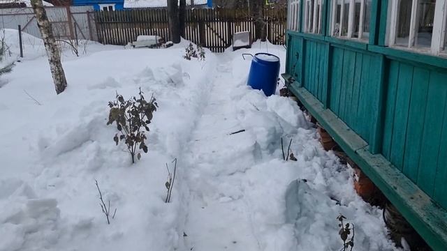 Обзор предвесеннего участка/6 соток в конце февраля