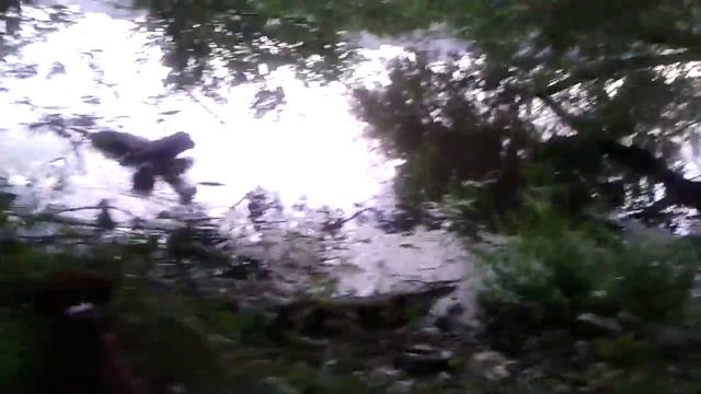 Охота за зверем смотреть онлайн