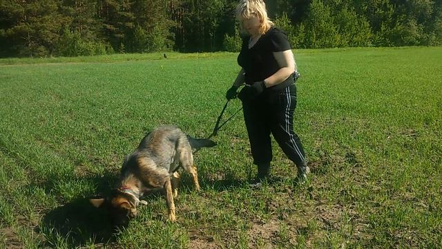 Кай след1 смотреть онлайн