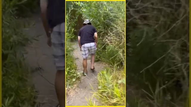 Glamping Birthday at Wild Haven in Sonoma County near Bay Area смотреть онлайн