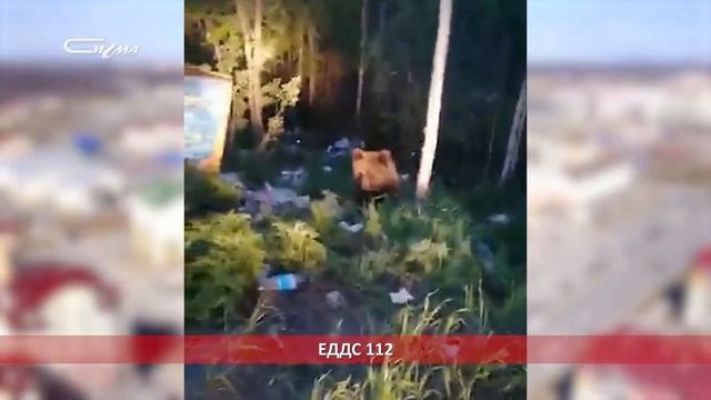 В три строки от 28 июня 2019 смотреть онлайн