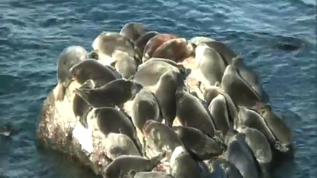 2011 год. Октябрь №4 смотреть онлайн