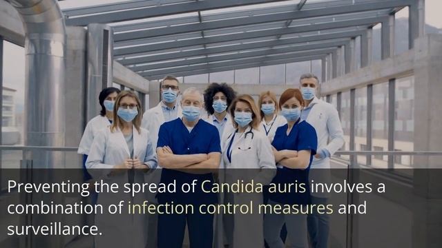 What is Candida Auris and Why Are Scientists So Worried? смотреть онлайн