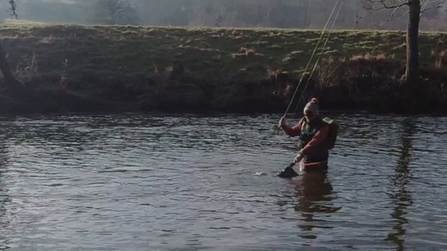 When Not To Euro Nymph! - Winter Grayling Fishing смотреть онлайн
