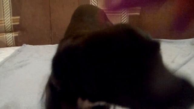 Люси-2 смотреть онлайн