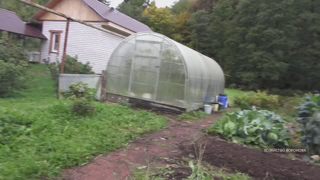 Теплице 5 лет смотреть онлайн