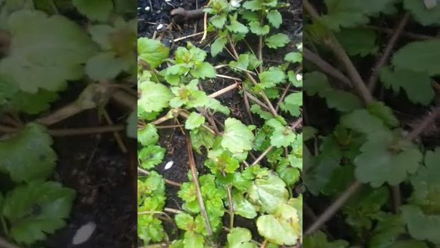 яка у нас зараз зима смотреть онлайн