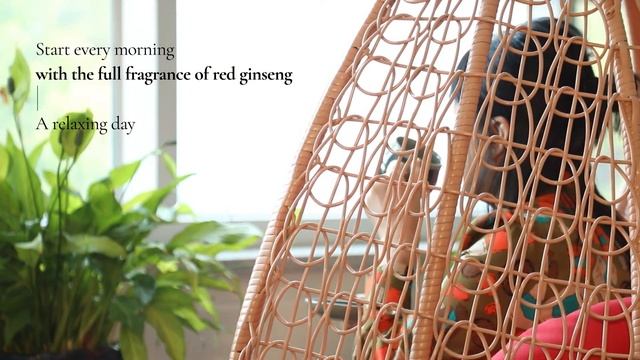 [Geumsan mall] ACHIMMADANG RED GINSENG смотреть онлайн