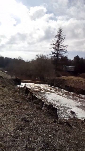 Санкт-Петербург Павловский парк. Долина реки Славянки. Весенние воды. смотреть онлайн