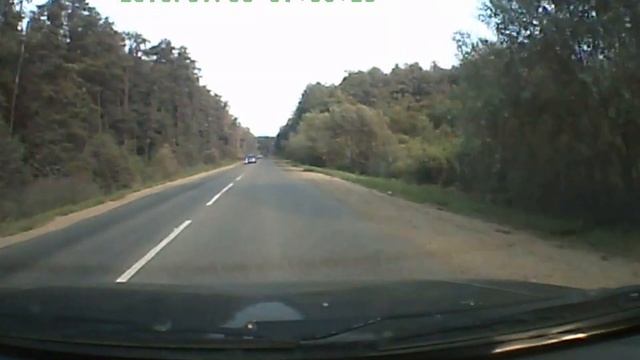 Утка (возможно "под мухой") смотреть онлайн