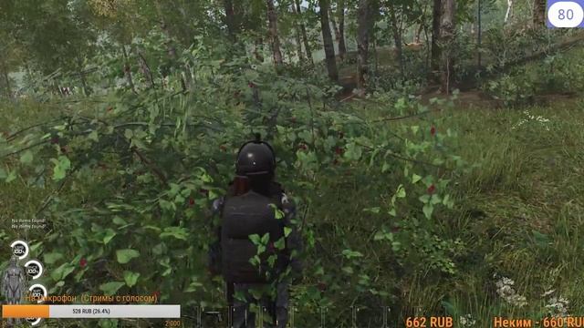 Scum. В лес по грибы