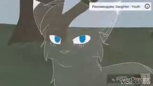 Клип коты воители эти роли не для нас