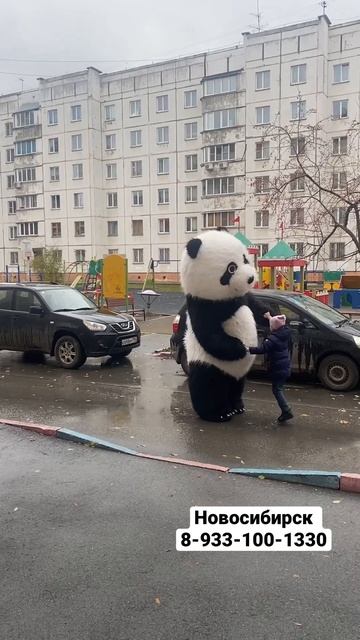 Несмотря на дождь,Мишка все же поздравил именинницу с Днём Рождения ♥️ смотреть онлайн