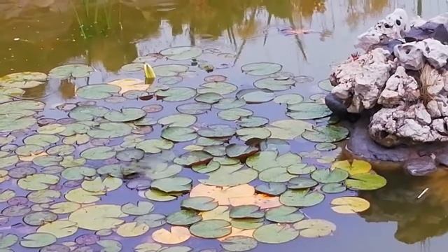 Принцы не спят. Крым. Сатера(1) смотреть онлайн