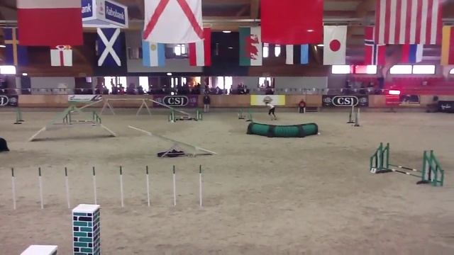 Sapriko - Mels, Alisia _ WAO 2015 смотреть онлайн