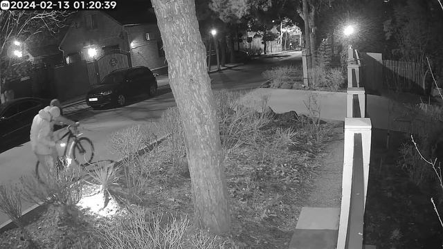 [2024-02-13] Грибы ищут или подснежники?