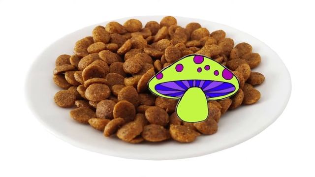 Mushrooms are disgusting nigel song смотреть онлайн