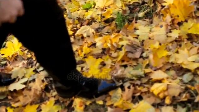 Осеннее - Музыка Виктора Хоборова, слова Владимира Ситенко. смотреть онлайн