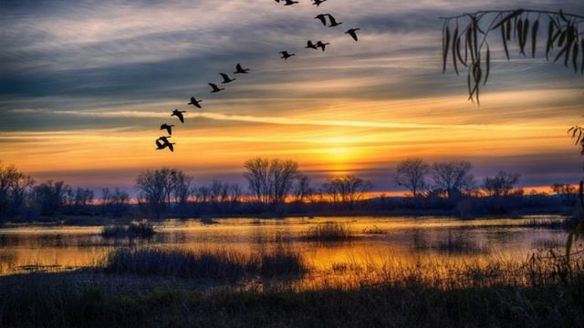 Христианские песни Журавли Небо смотреть онлайн