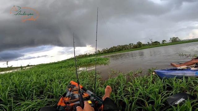 A CRIATURA MUITO FORTE E PEGAJOSA, ACREDITE ISSO É UM PEIXE. смотреть онлайн