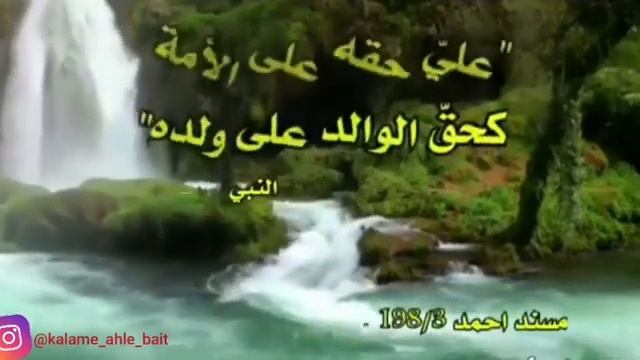 Шери Зебои пурмаьни