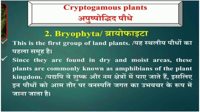 Botany for Bsc / plant classification смотреть онлайн