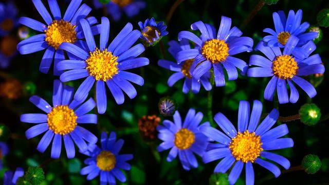 Радуга хороших русских песен для метро онлайн