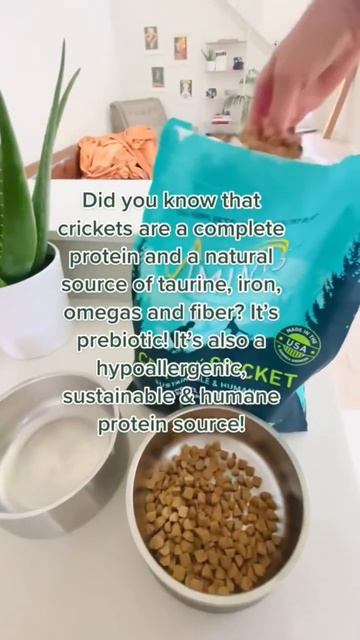 Did you know that crickets are a complete protein & natural source of taurine, iron, omegas & fiber смотреть онлайн