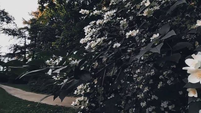 VID 20230713 204322 Паноптикум (Витезслав Незвал)...Павел Васильев Лахтинский смотреть онлайн