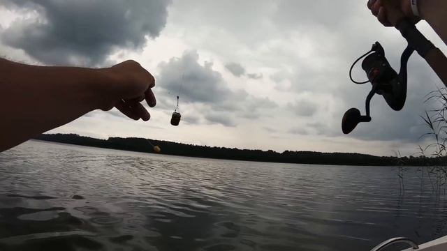 FEEDER Z ŁODZI?! Na rybach z żoną 2 | #Vlog 119 смотреть онлайн