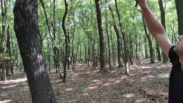 Эта находка, взрывает мой мозг. Чага огромних размеров. Тихая охота.