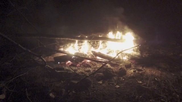 восстановленное видео из выпуска 