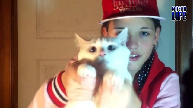 КОТ ЖЖЕТ смотреть онлайн