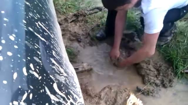 тяга к мясу))) смотреть онлайн