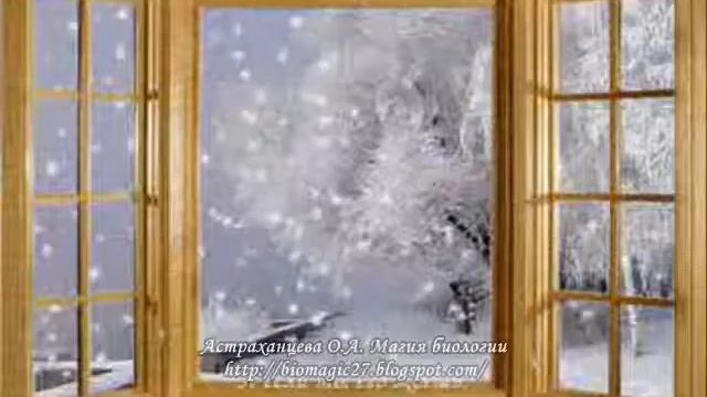 снег идет Магия биологии смотреть онлайн