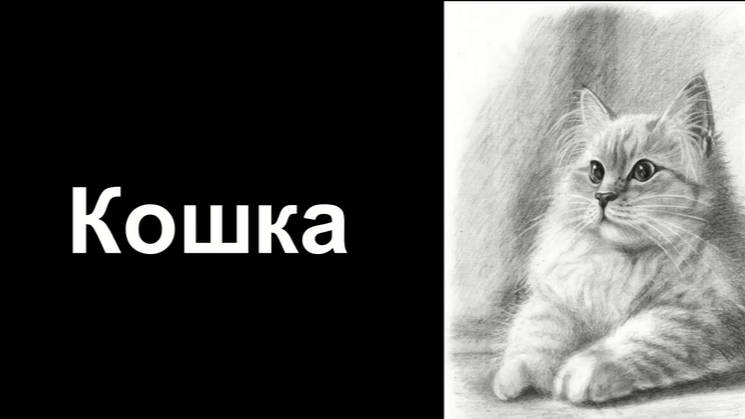 Кошка. КАРАНДАШ. смотреть онлайн