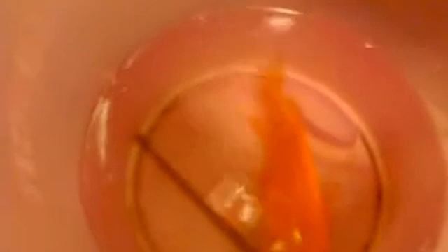 прикольное видео смотреть онлайн