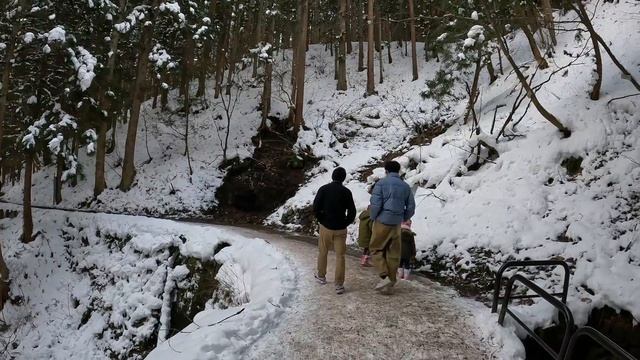 Know this before attempting to see snow monkeys in Japan смотреть онлайн