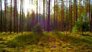 Женщина не может без весны...