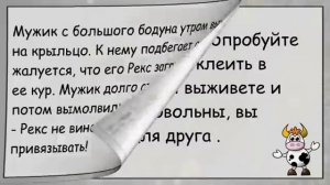 сборник анекдотов 7 часть 🤭