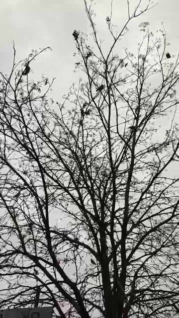 18 октября 2022 г. смотреть онлайн