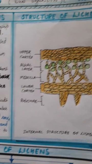 Class 11 Biology Notes Chapter 2 Part-13 |Lichen| #shorts