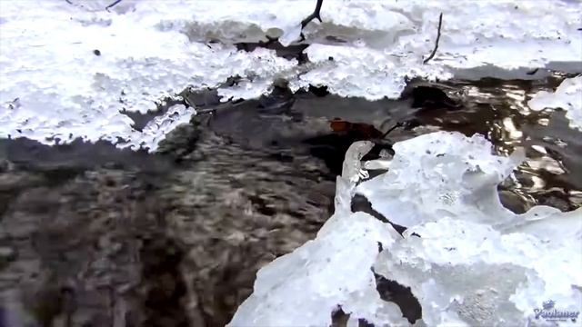 ПОЭЗИЯ ӘЛЕМІ - МИР ПОЭЗИИ: Аппақ қар