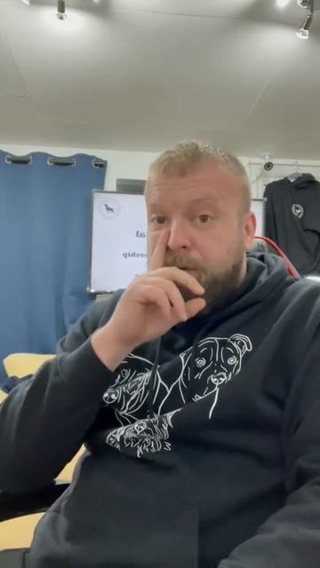 The Worst Dog Food смотреть онлайн
