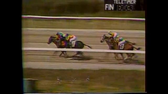 Ferpier con el jinete Angel Santiago смотреть онлайн