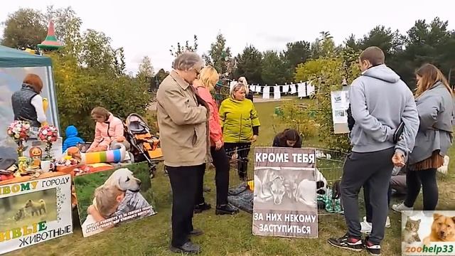 Закрытие летнего сезона. смотреть онлайн