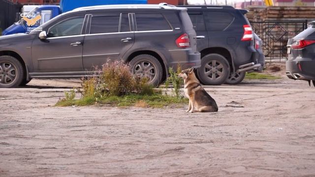 В три строки от 9 сентября 2021