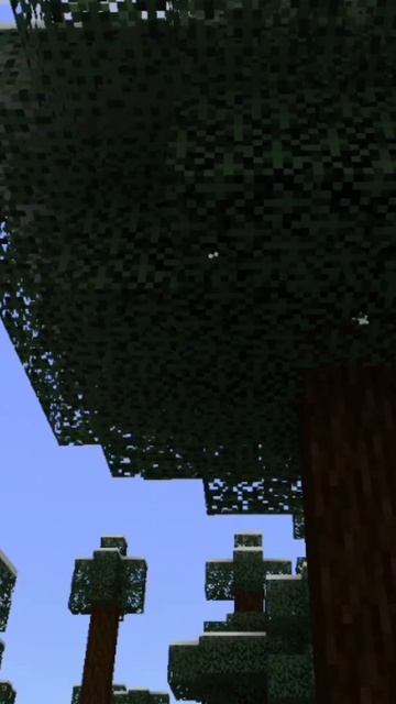 MINECRAFT енот!!! #рекомендации #minecraft #shortsvideo #shorts #died #енот смотреть онлайн