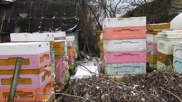 февраль на пасеке , на что стоит особо обратить внимание при зимовке пчел в феврале , 3.02.2025 смотреть онлайн